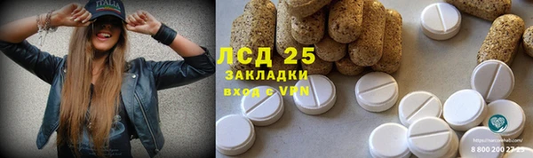 дмт Богородицк