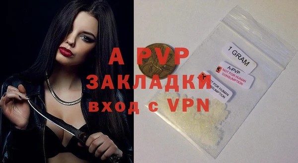 дмт Богородицк