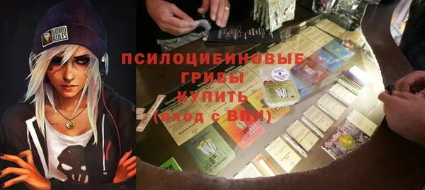 дмт Богородицк