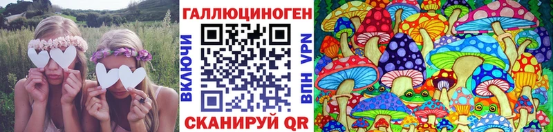 Купить  Медногорск  Галлюциногенные грибы GOLDEN TEACHER 